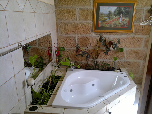 15 Bedroom Property for Sale in Paul Roux Free State